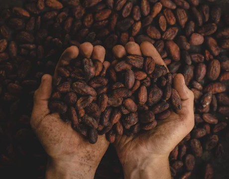 碳烧咖啡的制作成本如何？
